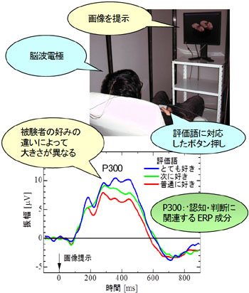 脳波